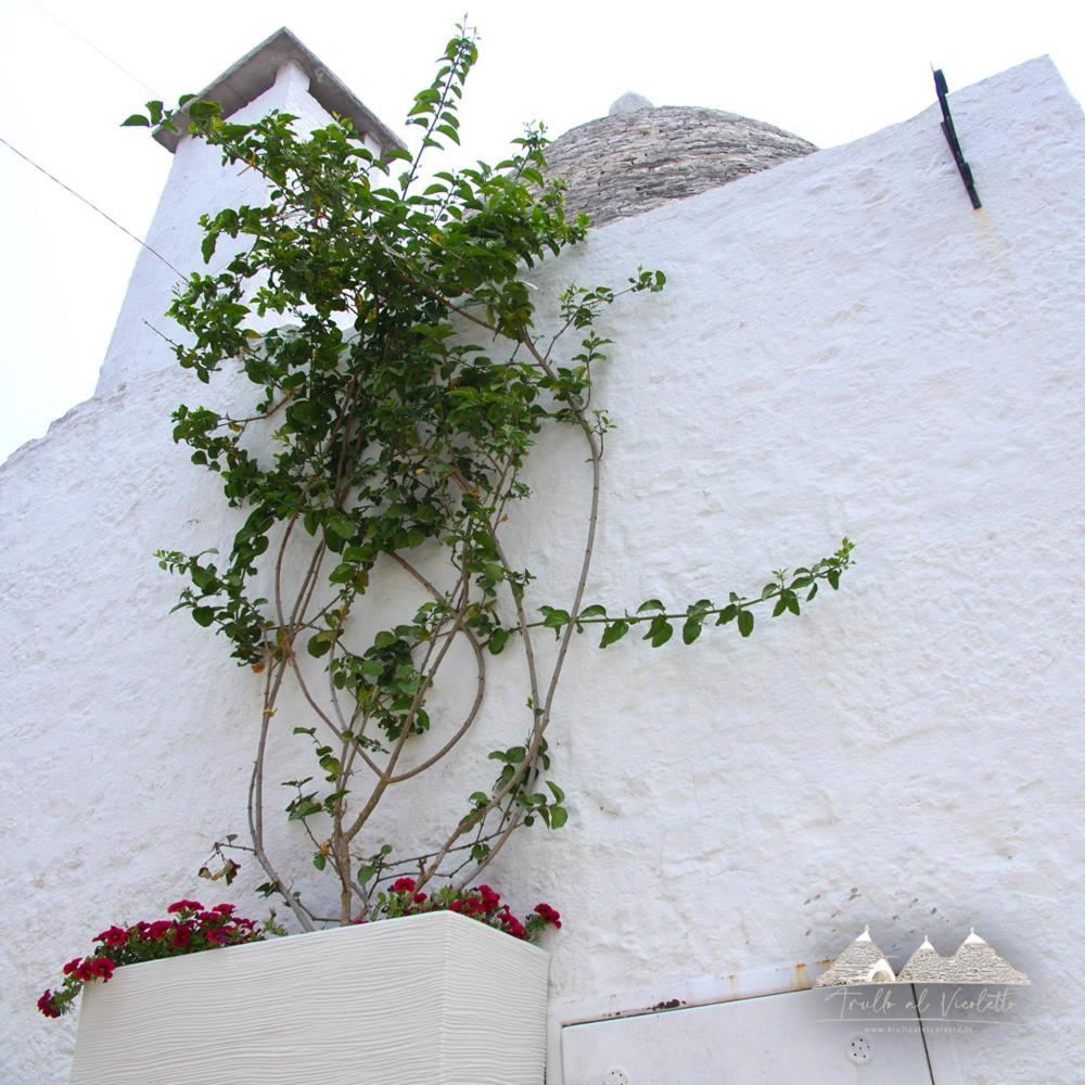 Trullo Al Vicoletto Al Civico 10, Civico 8, Civico 7 Villa Alberobello Exterior photo