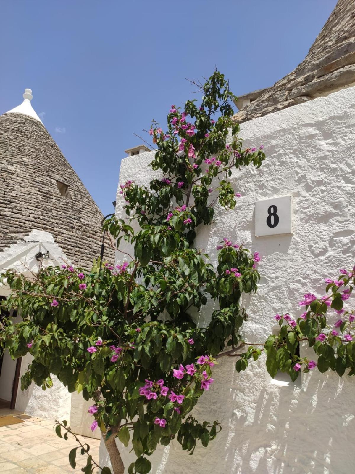 Trullo Al Vicoletto Al Civico 10, Civico 8, Civico 7 Villa Alberobello Exterior photo